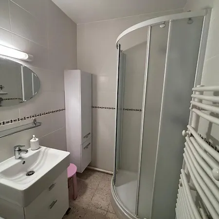 Appartement, Animaux Admis, Clim - Vue Sur L'etang - Fr-1-503-191 Lejlighed *